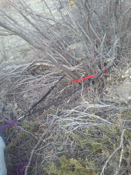 Image:Wuth-2015-04-16 19.55.51.jpg