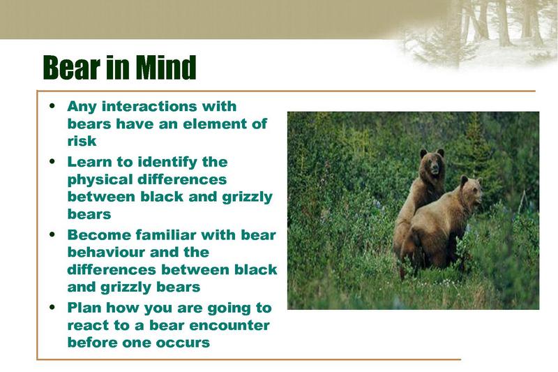 Image:BearCougar Presentation OSAR Apr13,2013.pdf